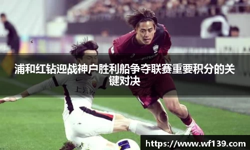 智博19有限公司